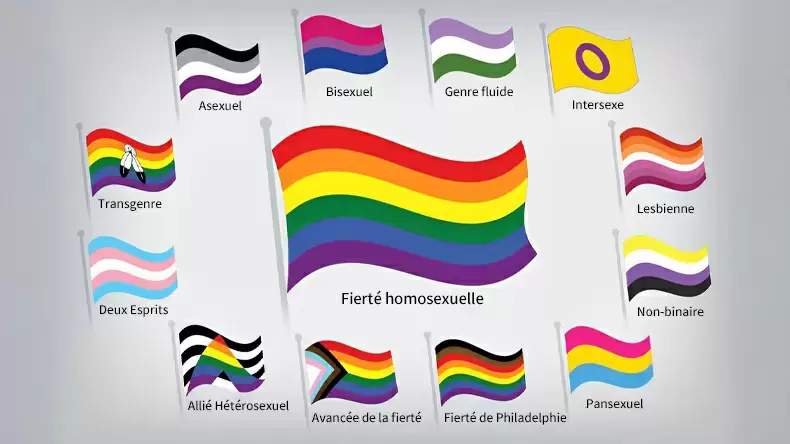 Quiz du drapeau de la fierté LGBTQ en français.