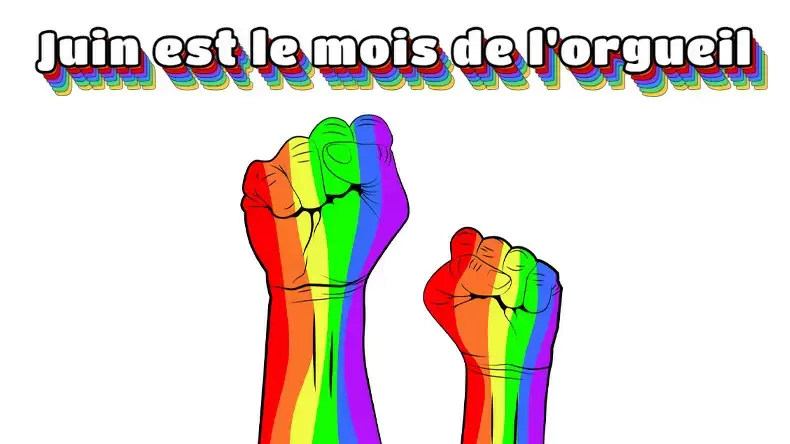 Suis-je gay ？